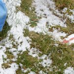 Schnee